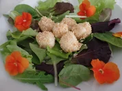 Sesam-Mozzarellakugeln - Rezept - Bild Nr. 10562