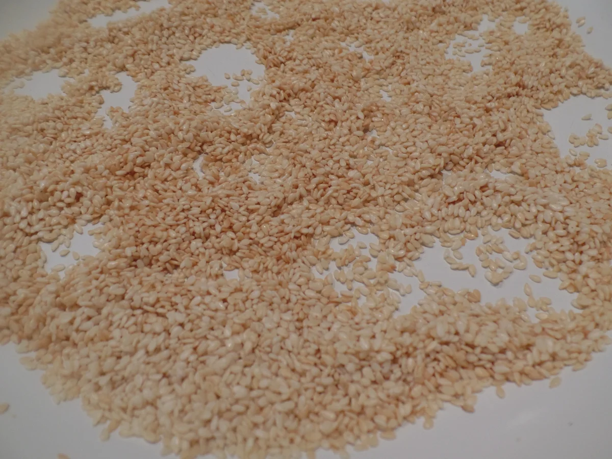 Sesam-Mozzarellakugeln - Rezept - Bild Nr. 10564