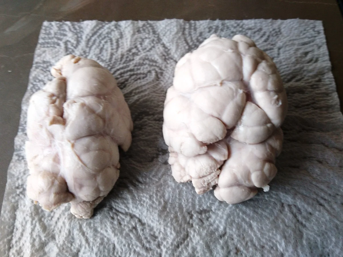 Animelle di vitello - Kalbsbries - Rezept - Bild Nr. 4