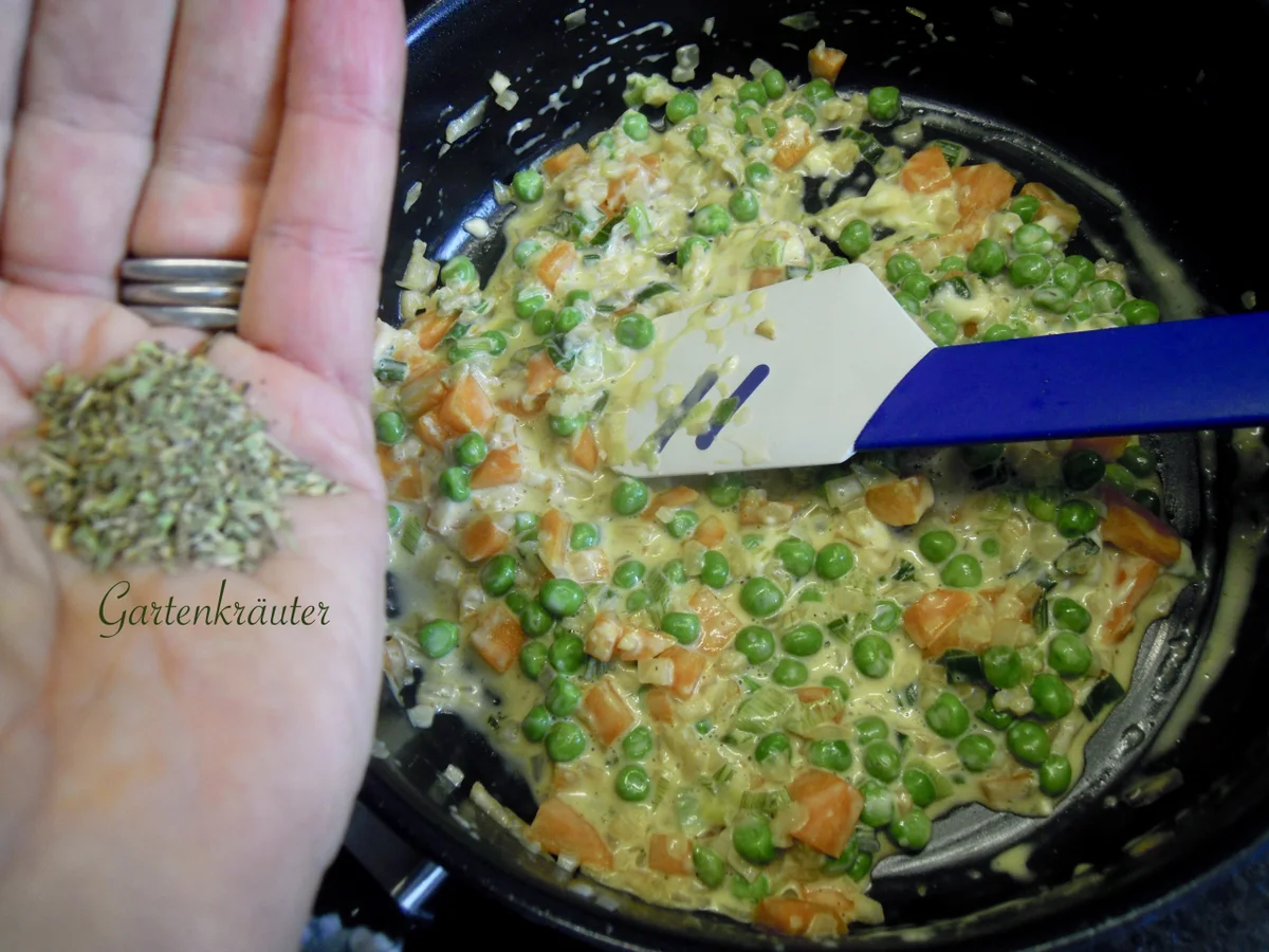 leckere Gemüse Pasta - Rezept - Bild Nr. 10586