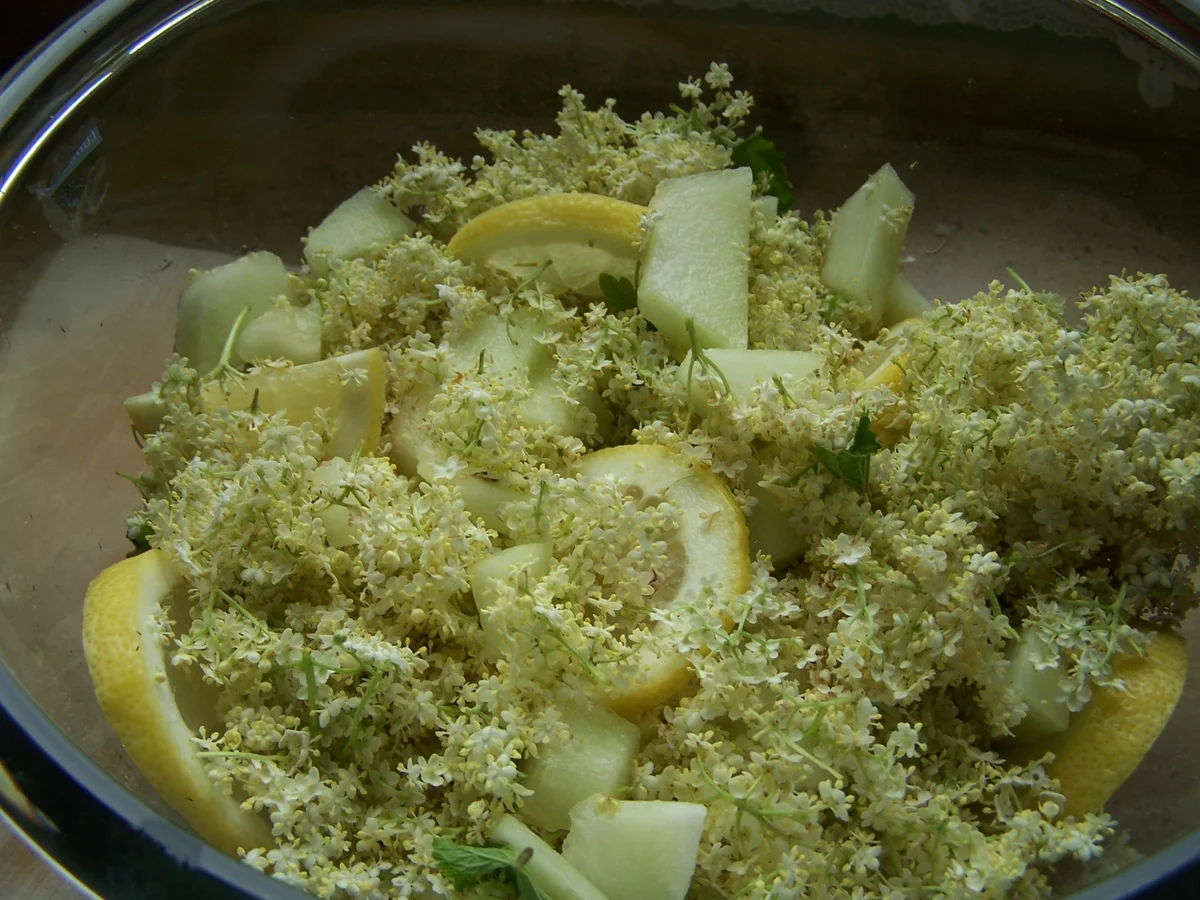 Holunderblüten Gelee mit Honig-Melone - Rezept - Bild Nr. 7