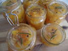 Aprikosen-Rosmarin-Kompott - Rezept - Bild Nr. 10584
