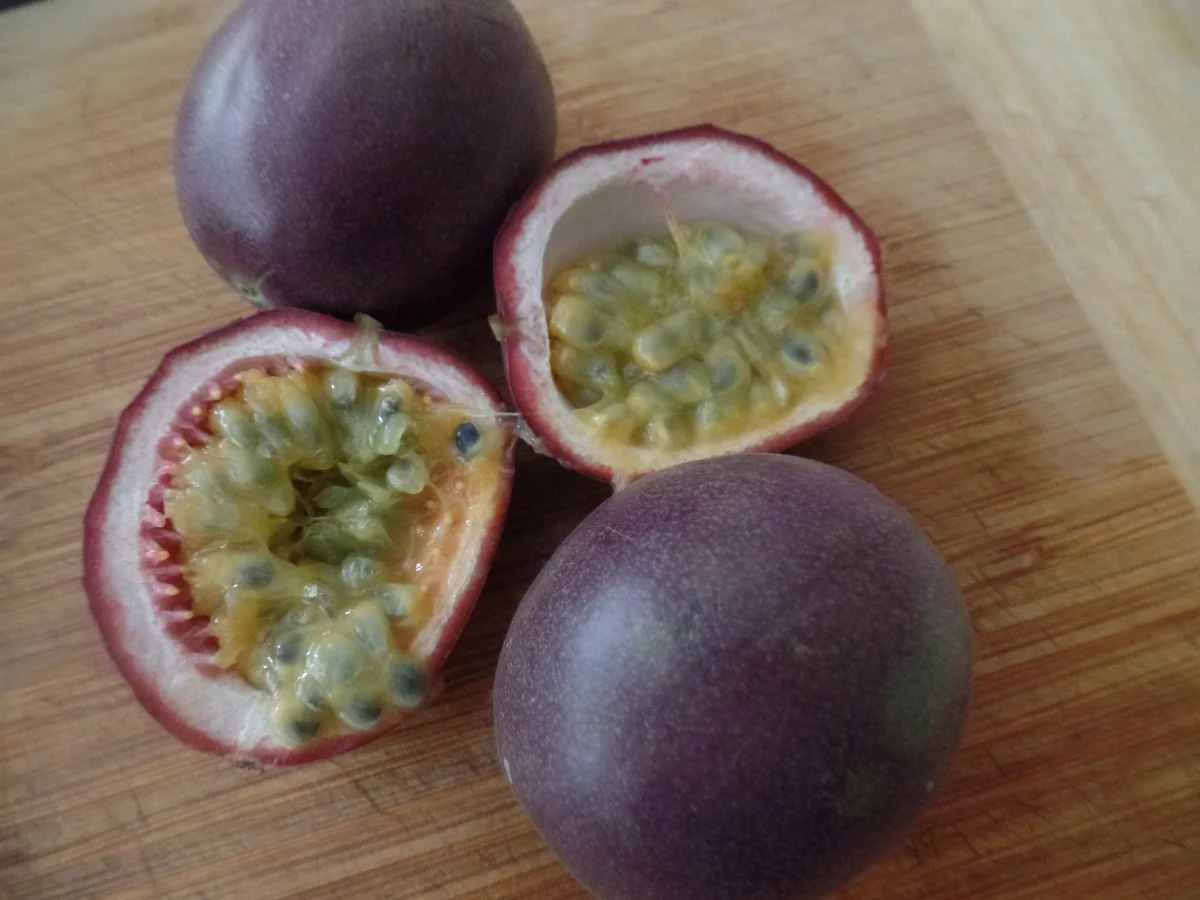 Rezept: Aprikosen-Rosmarin-Kompott Bild Nr. 10588 Aprikosen-Rosmarin-Kompott - Rezept - Bild Nr. 10588