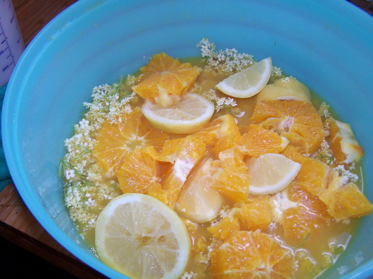 Holunderblüten-Gelee mit Orangen + Zitronen - Rezept - Bild Nr. 3