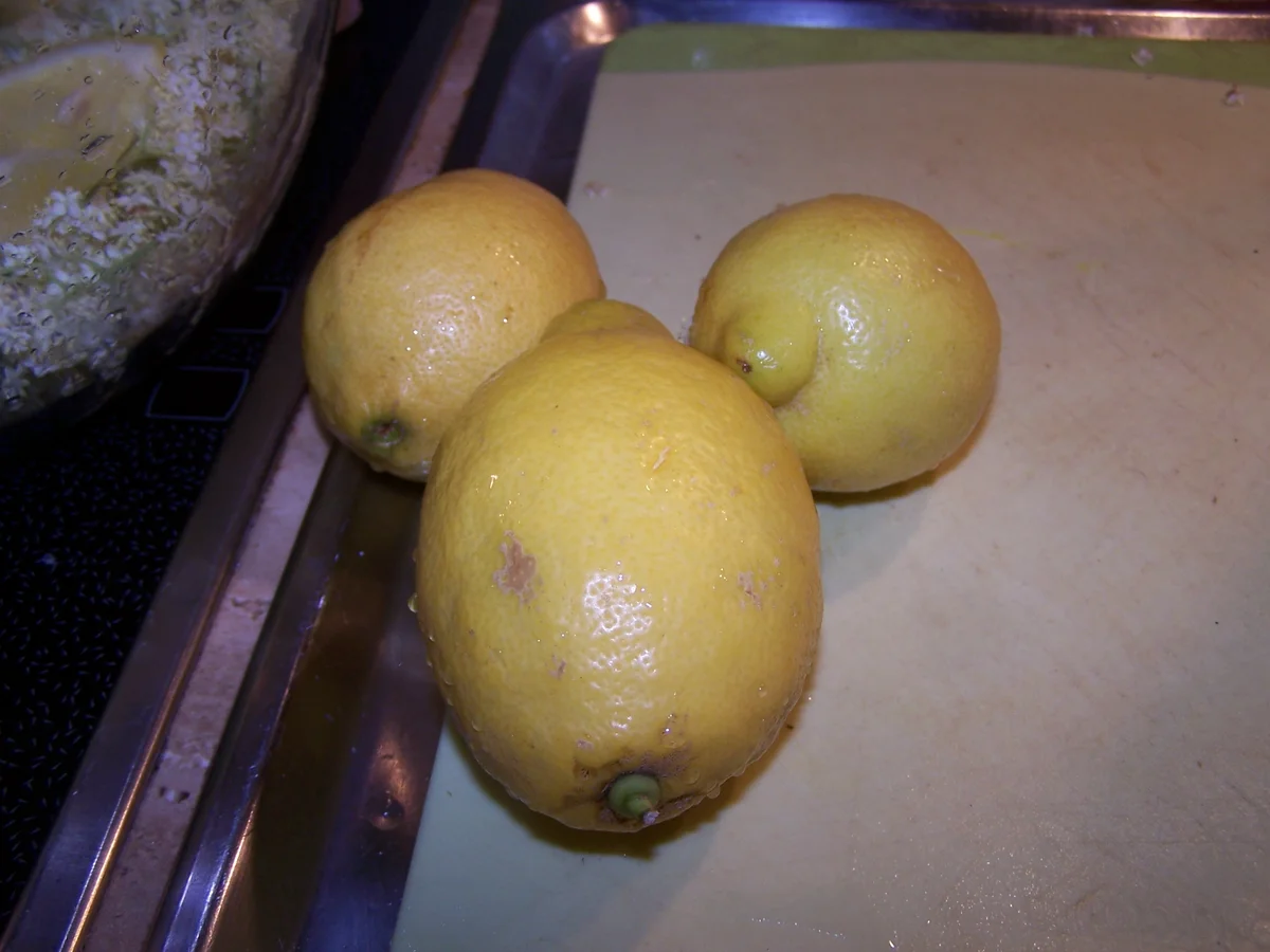 Rezept: Holunderblüten-Sirup Bild Nr. 4 Holunderblüten-Sirup - Rezept - Bild Nr. 4