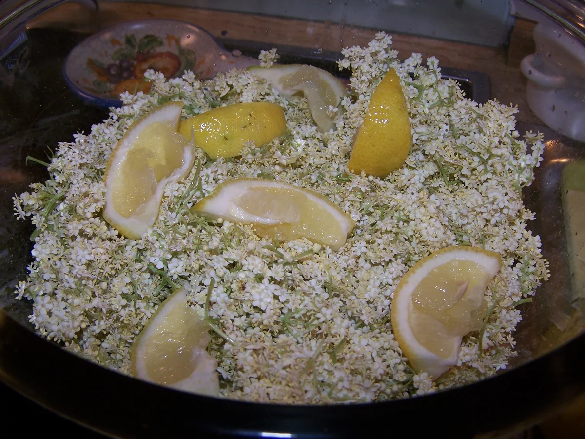 Rezept: Holunderblüten-Sirup Bild Nr. 5 Holunderblüten-Sirup - Rezept - Bild Nr. 5