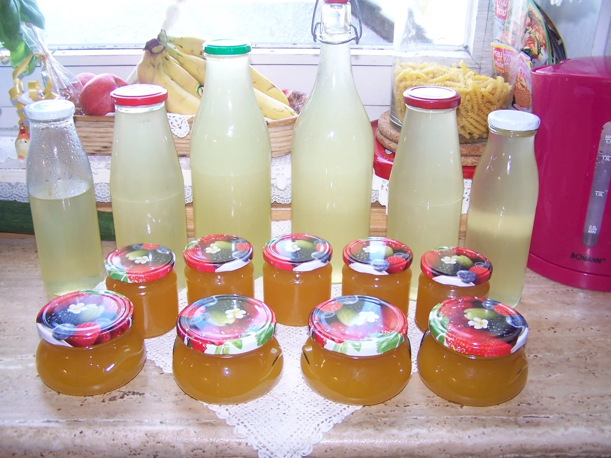 Rezept: Holunderblüten-Sirup Bild Nr. 6 Holunderblüten-Sirup - Rezept - Bild Nr. 6