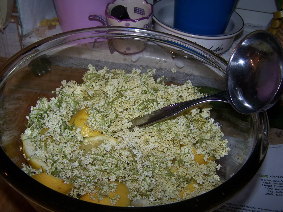 Rezept: Holunderblüten-Sirup Bild Nr. 9 Holunderblüten-Sirup - Rezept - Bild Nr. 9