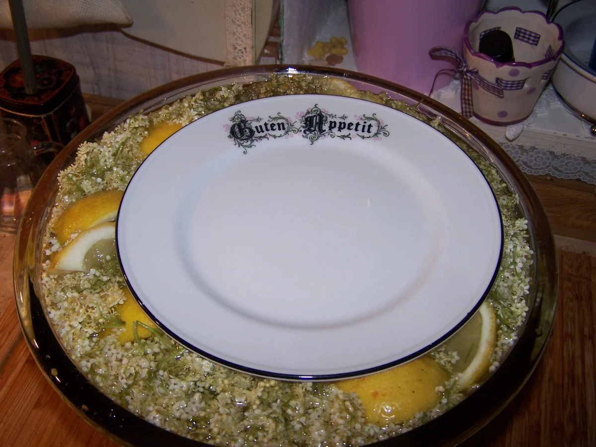 Rezept: Holunderblüten-Sirup Bild Nr. 10 Holunderblüten-Sirup - Rezept - Bild Nr. 10