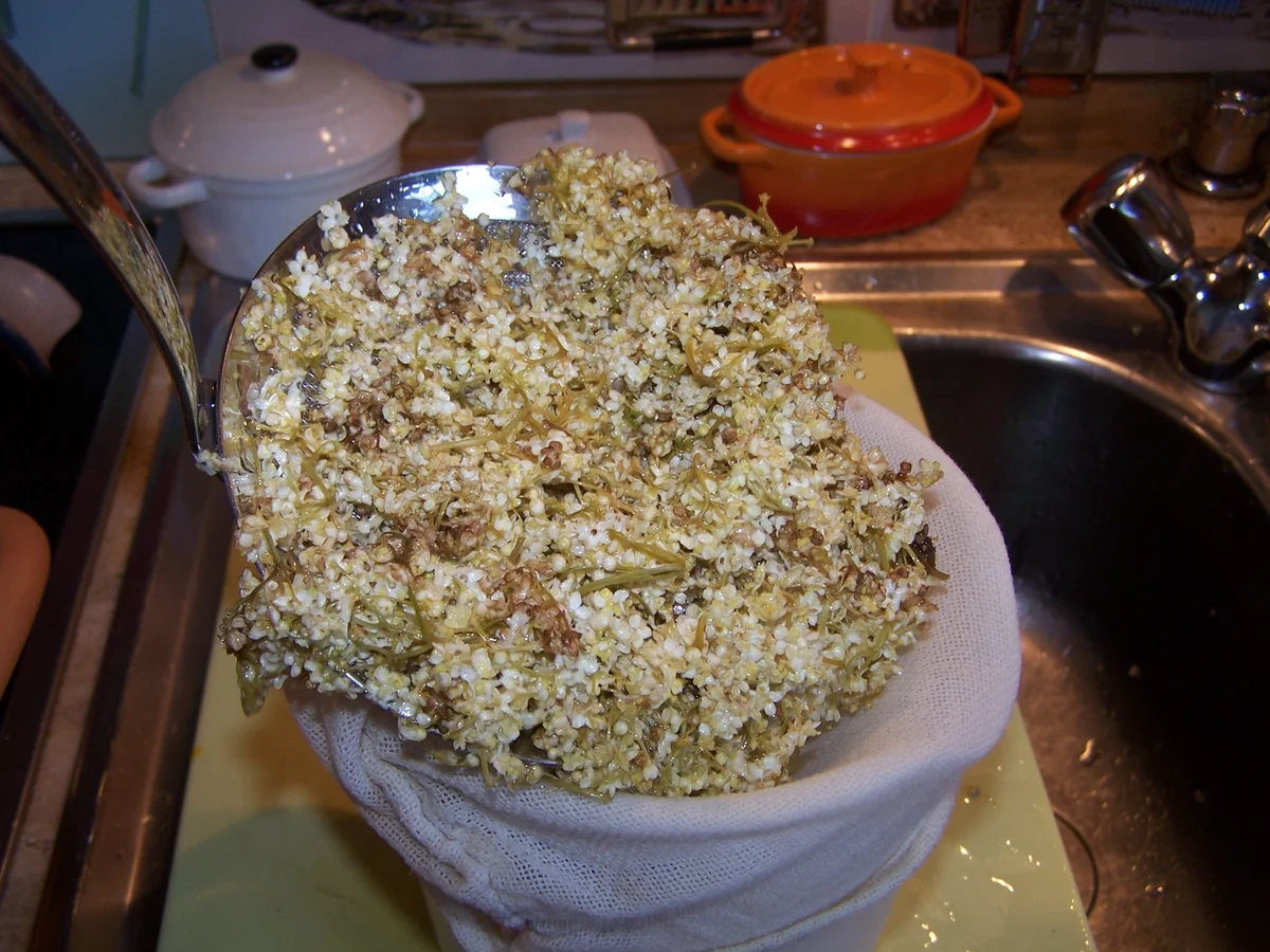 Rezept: Holunderblüten-Sirup Bild Nr. 12 Holunderblüten-Sirup - Rezept - Bild Nr. 12