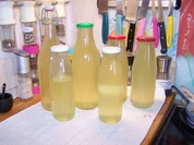 Holunderblüten-Sirup - Rezept - Bild Nr. 2