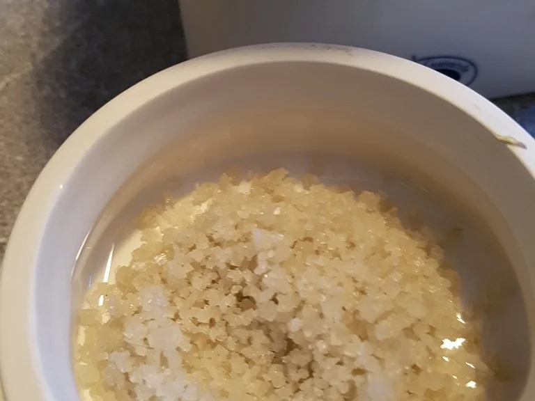 Rezept: Lachs zum Mittag selbst filitiert und dann zu einem tollen Gericht verarbeitet Bild Nr. 3 Lachs zum Mittag selbst filitiert und dann zu einem tollen Gericht verarbeitet - Rezept - Bild Nr. 3