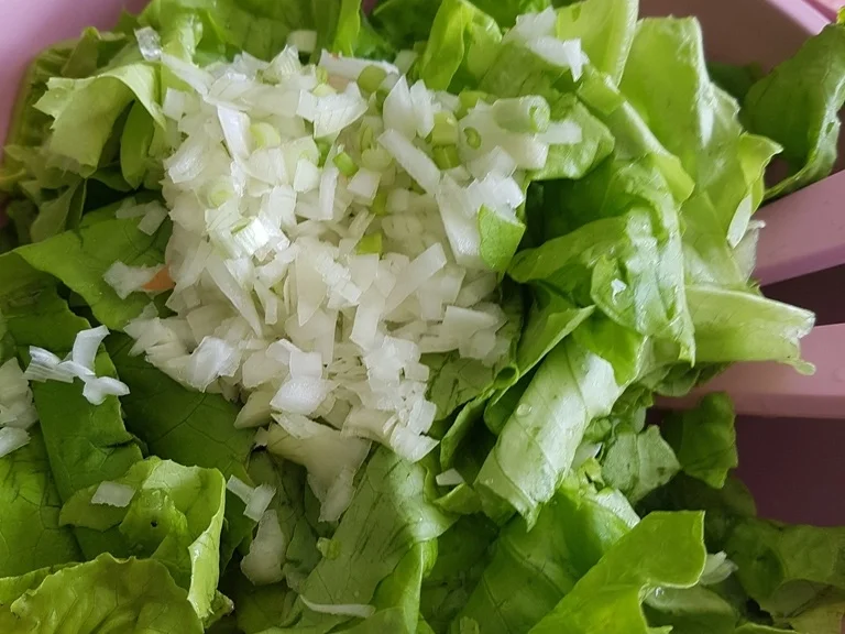 Rezept: Lachs zum Mittag selbst filitiert und dann zu einem tollen Gericht verarbeitet Bild Nr. 10 Lachs zum Mittag selbst filitiert und dann zu einem tollen Gericht verarbeitet - Rezept - Bild Nr. 10