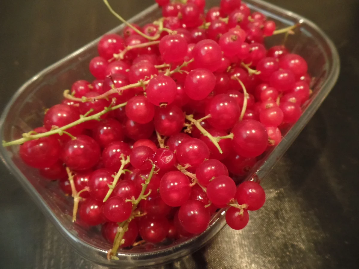 Rezept: Johannisbeer-Muffins Bild Nr. 10651 Johannisbeer-Muffins - Rezept - Bild Nr. 10651