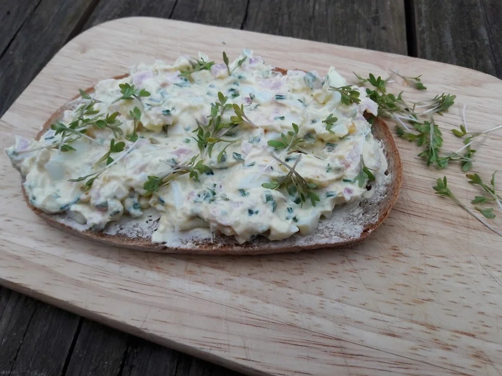 Eiersalat - Rezept - Bild Nr. 3