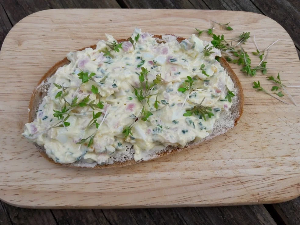 Eiersalat - Rezept - Bild Nr. 11
