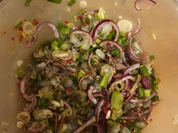 Ceviche von der fangfrischen (bayerischen) Garnele mit Languste aufgepeppt - Rezept - Bild Nr. 2