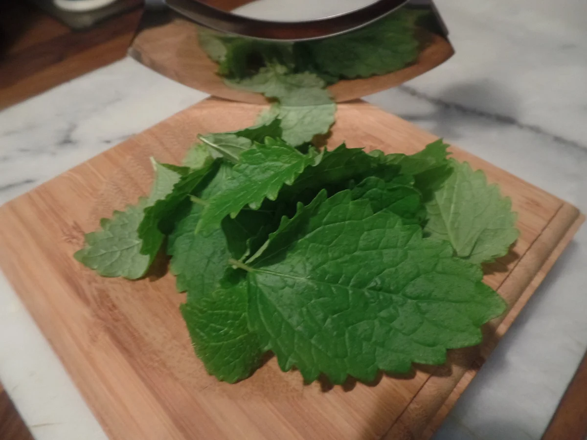 Rezept: Erdbeer-Minz-Eis Bild Nr. 10666 Erdbeer-Minz-Eis - Rezept - Bild Nr. 10666