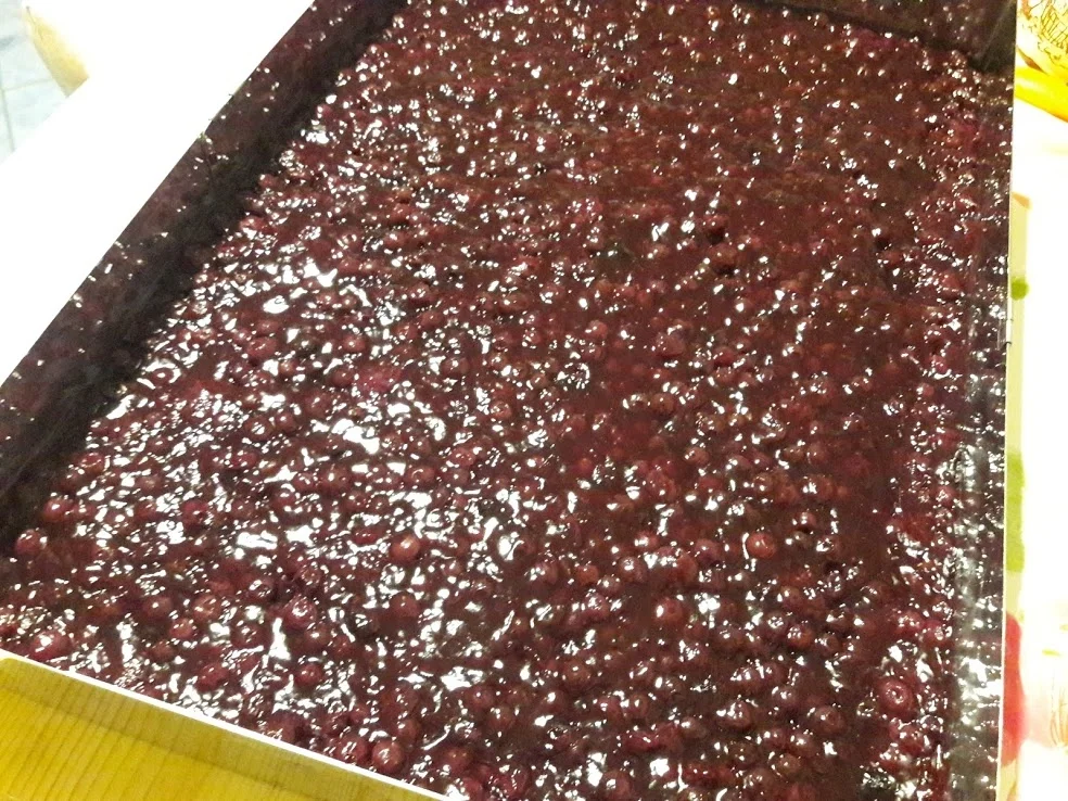 Blaubeer - Kuchen - Rezept - Bild Nr. 14