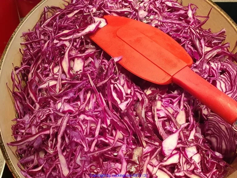 Rezept: Rotkrautsalat immer frisch und zu jeder Jahreszeit ein Genuss Bild Nr. 5 Rotkrautsalat immer frisch und zu jeder Jahreszeit ein Genuss - Rezept - Bild Nr. 5