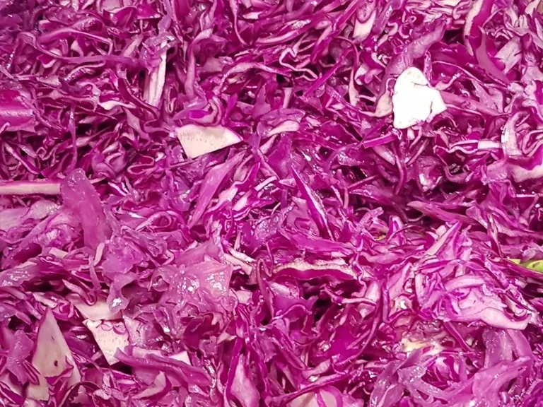 Rezept: Rotkrautsalat immer frisch und zu jeder Jahreszeit ein Genuss Bild Nr. 4 Rotkrautsalat immer frisch und zu jeder Jahreszeit ein Genuss - Rezept - Bild Nr. 4