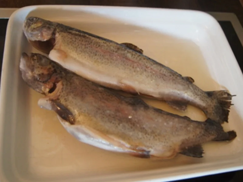 Rezept: Gebratene Regenbogenforelle mit Sesam-Möhrenblüten Bild Nr. 3 Gebratene Regenbogenforelle mit Sesam-Möhrenblüten - Rezept - Bild Nr. 3