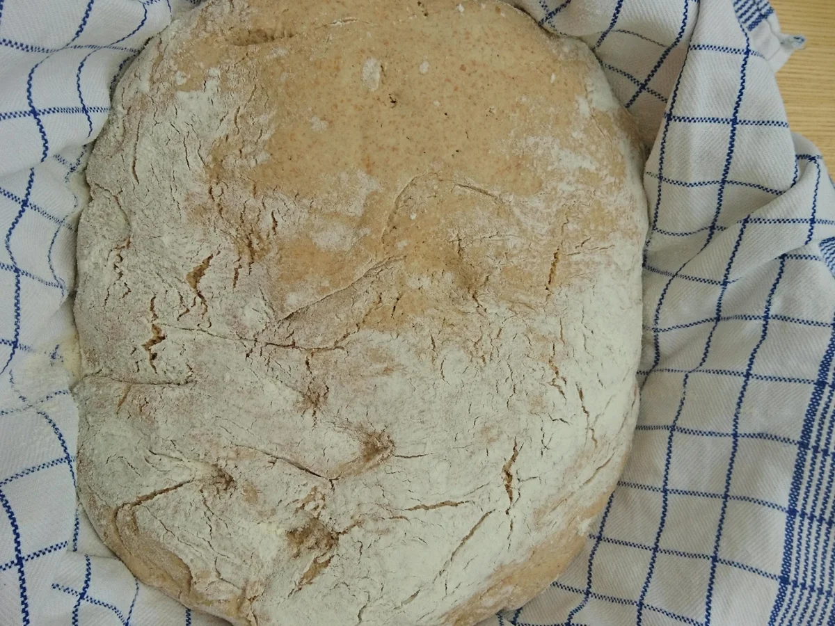 Urkornbrot 100 Prozent Sauerteig - Rezept - Bild Nr. 8