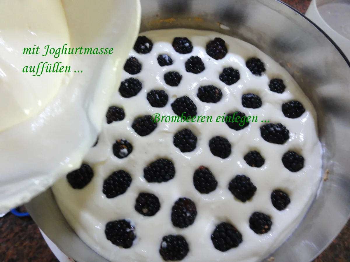 Biskuit:   JOGHURT ~ SAHNE ~ TORTE (24cm) - Rezept - Bild Nr. 9