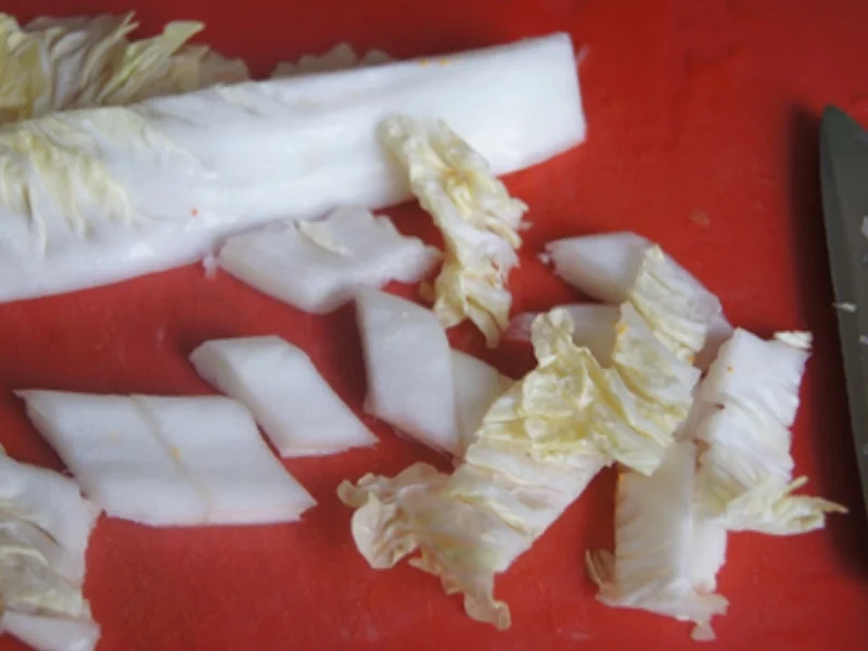 Buddha-Gemüse-Wok - Rezept - Bild Nr. 24