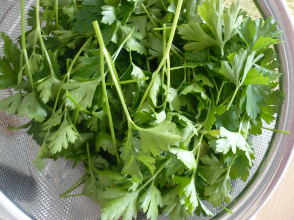 Chimichurri Sauce - Rezept - Bild Nr. 6