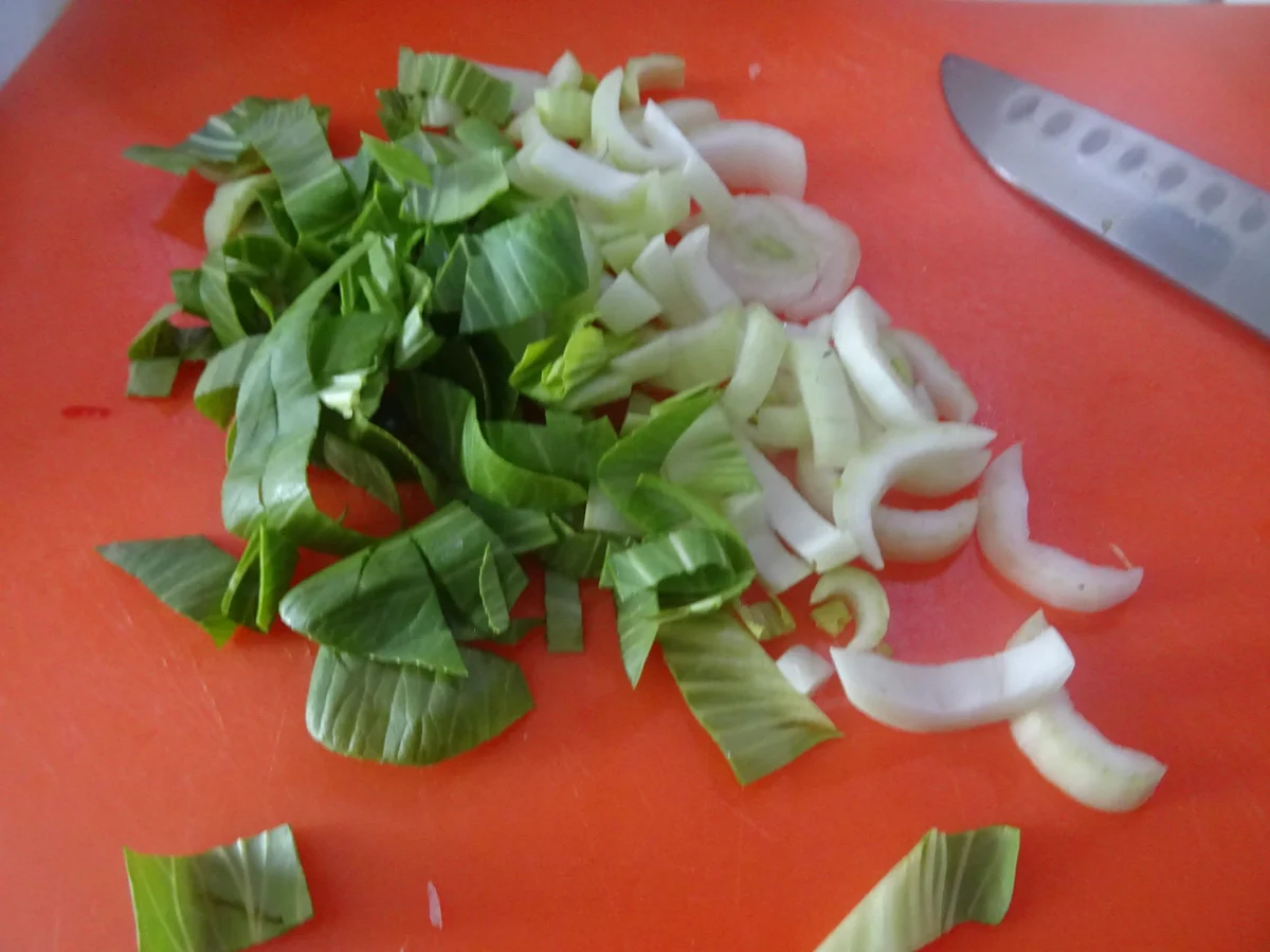 Garnelen-Spieße mit fruchtig-asiatischem Salat und gebratenen Eier-Nudeln - Rezept - Bild Nr. 10714