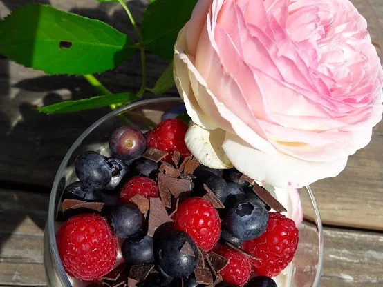 Früchte - Tiramisu - Rezept - Bild Nr. 17