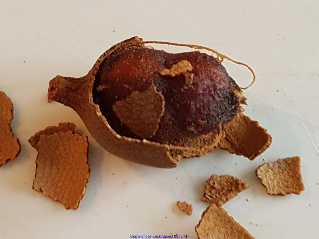 Kratz Eis  in EDEL als Obsttorte = kochbar Challenge 7.0 (Juli 2020) - Rezept - Bild Nr. 5