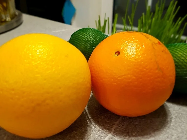 Kratz Eis  in EDEL als Obsttorte = kochbar Challenge 7.0 (Juli 2020) - Rezept - Bild Nr. 19