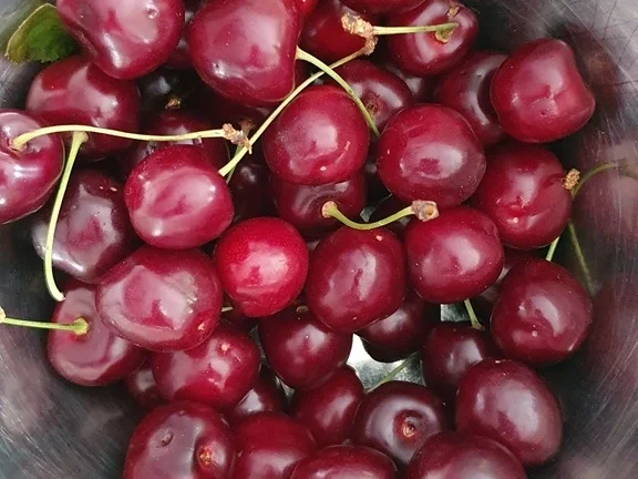 Kratz Eis  in EDEL als Obsttorte = kochbar Challenge 7.0 (Juli 2020) - Rezept - Bild Nr. 17