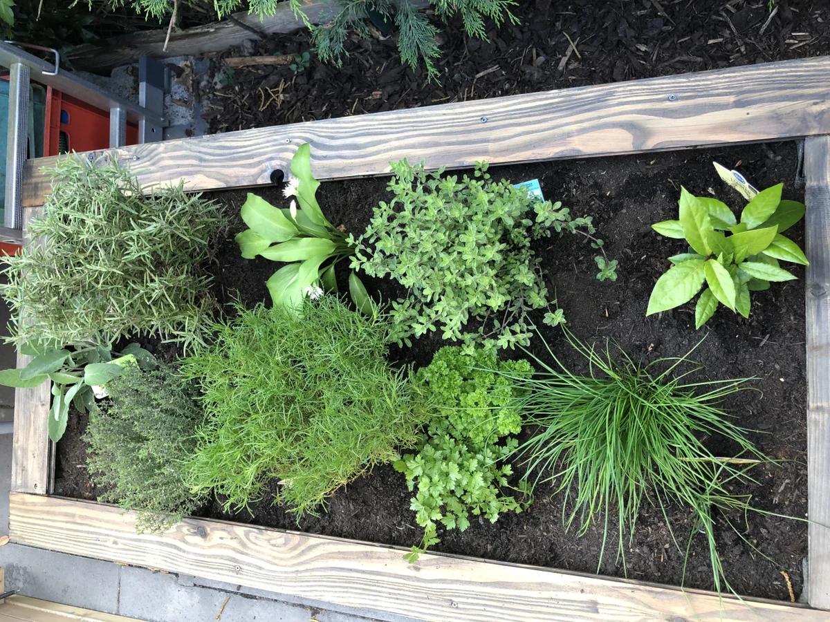 Fladenbrot mal anders.... - Rezept - Bild Nr. 8