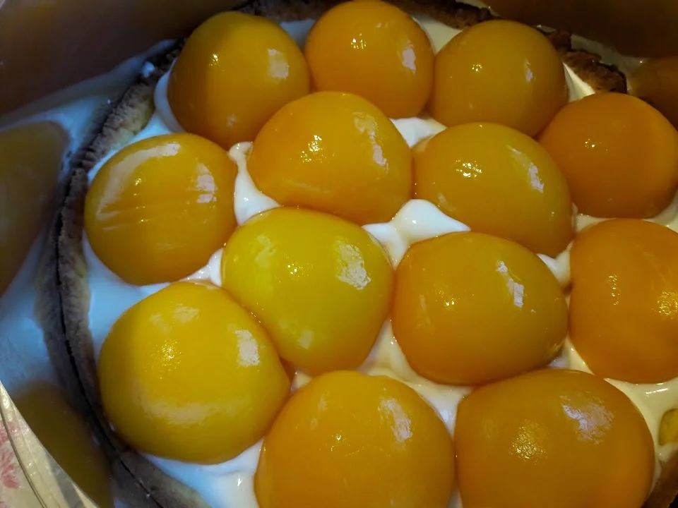 Pfirsich-Quark-Torte - Rezept - Bild Nr. 15