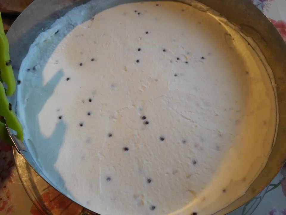 Pfirsich-Quark-Torte - Rezept - Bild Nr. 10885