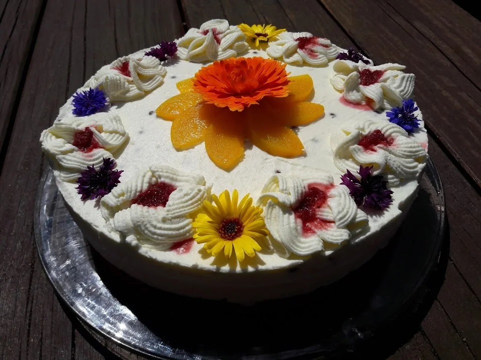 Pfirsich-Quark-Torte - Rezept - Bild Nr. 10888