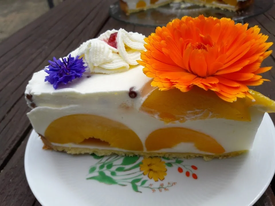 Pfirsich-Quark-Torte - Rezept - Bild Nr. 10889