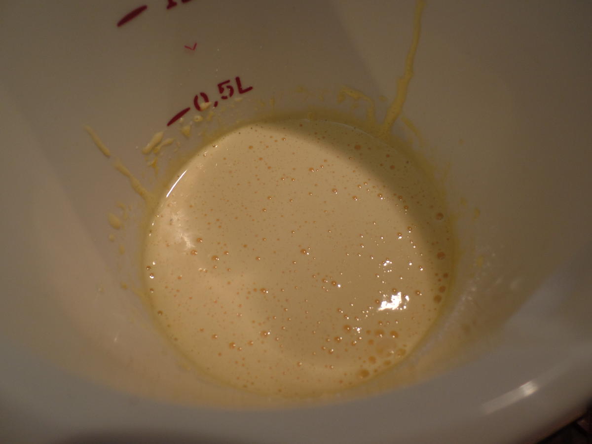 Bayrische Creme mit Heidelbeerkompott - Rezept - Bild Nr. 10873