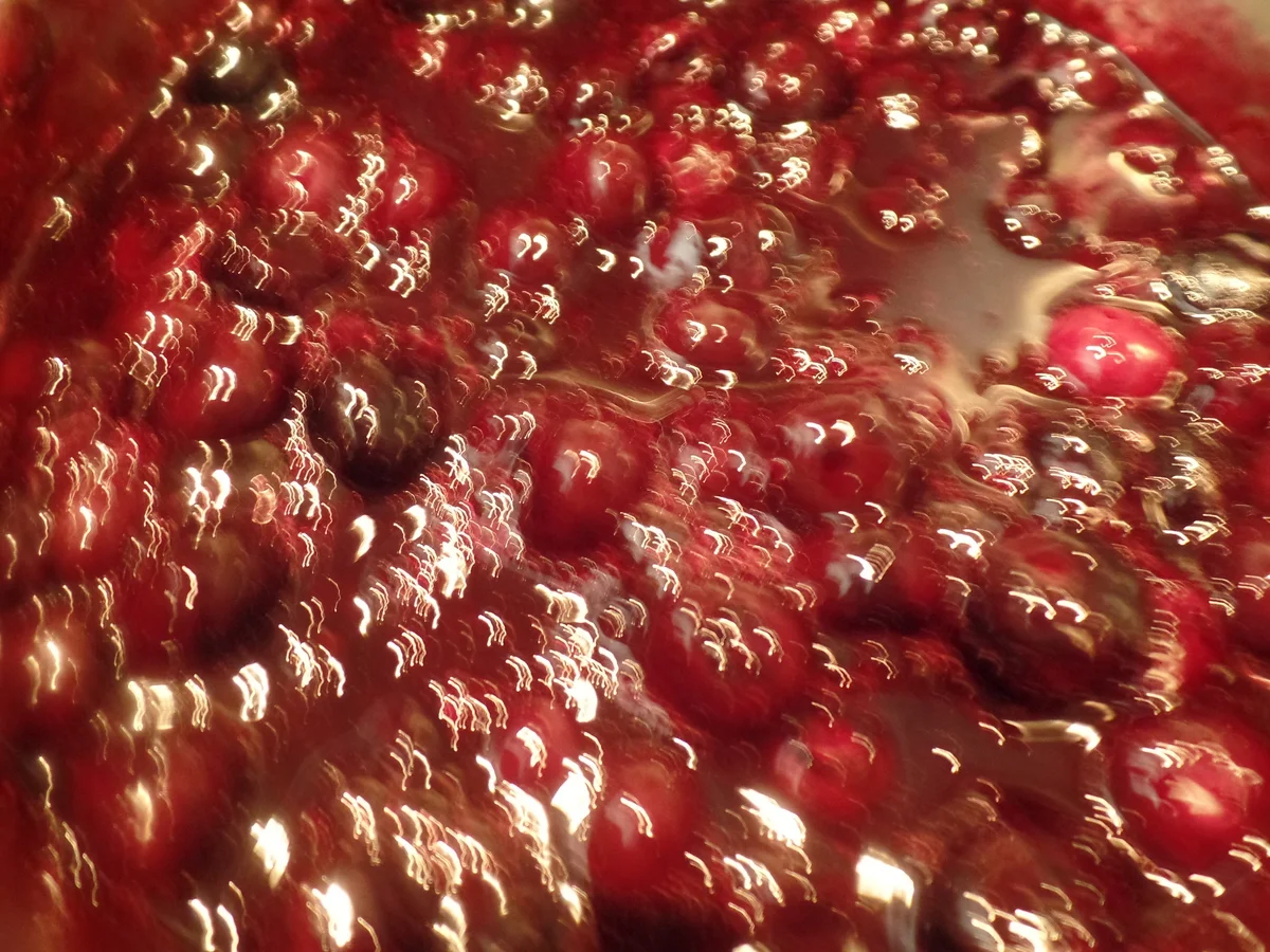 Bayrische Creme mit Heidelbeerkompott - Rezept - Bild Nr. 10882