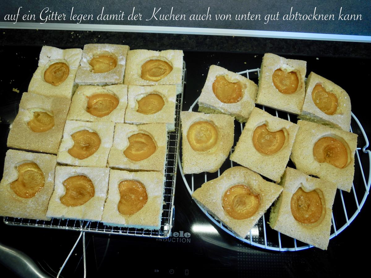 Wachauer Marillen Kuchen - Rezept - Bild Nr. 4