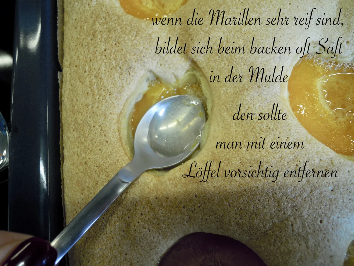 Wachauer Marillen Kuchen - Rezept - Bild Nr. 6