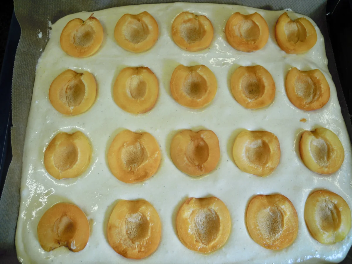 Wachauer Marillen Kuchen - Rezept - Bild Nr. 10876