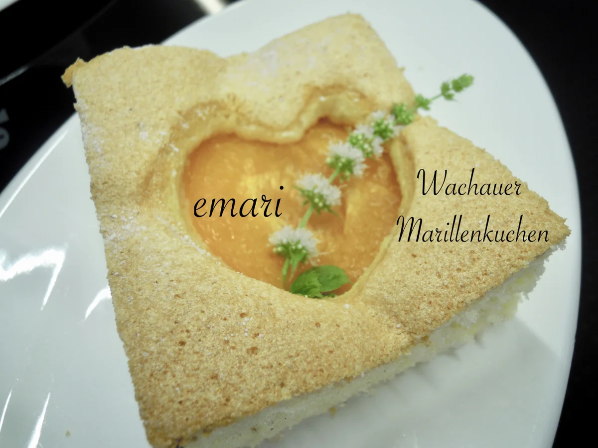 Wachauer Marillen Kuchen - Rezept - Bild Nr. 10879