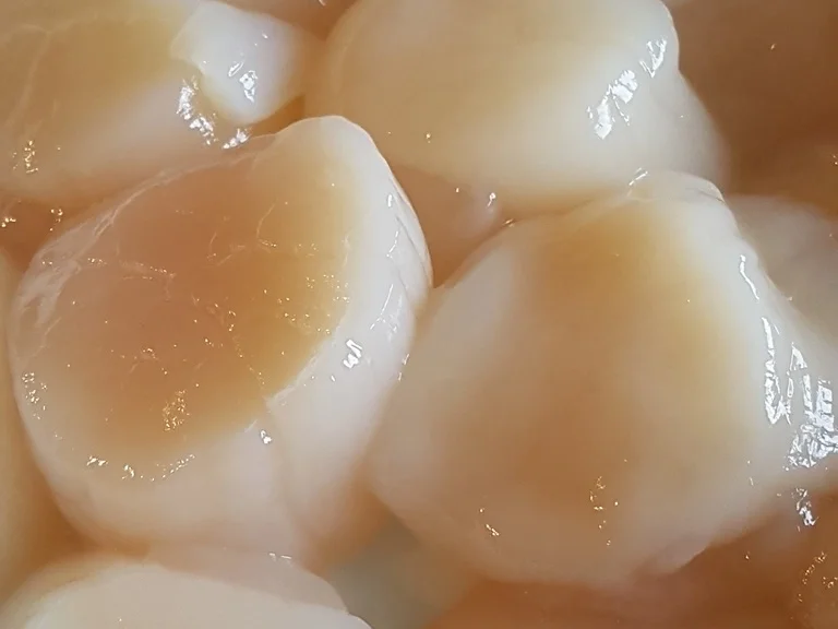 Jacobsmuschel - Riesengarnele- Wildlachs- Salat- und "Beurre de Corail" - Rezept - Bild Nr. 3