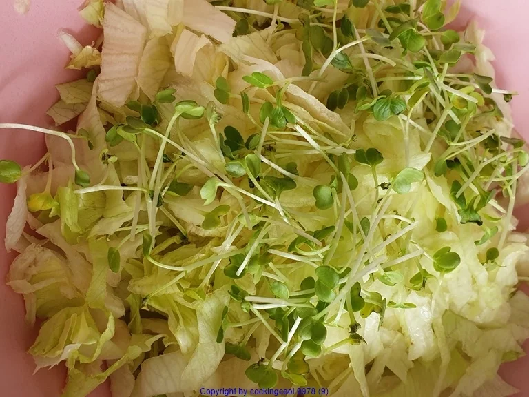 Jacobsmuschel - Riesengarnele- Wildlachs- Salat- und "Beurre de Corail" - Rezept - Bild Nr. 11