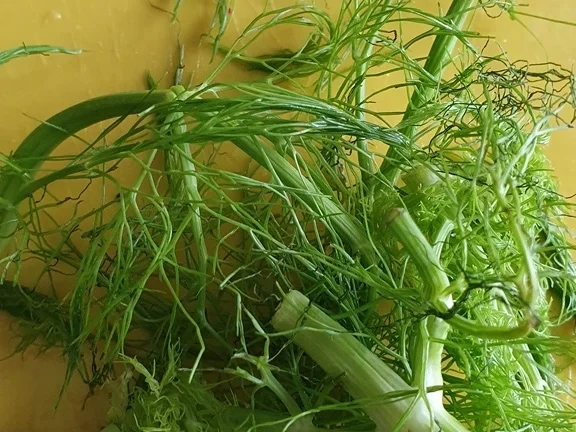 Jacobsmuschel - Riesengarnele- Wildlachs- Salat- und "Beurre de Corail" - Rezept - Bild Nr. 9