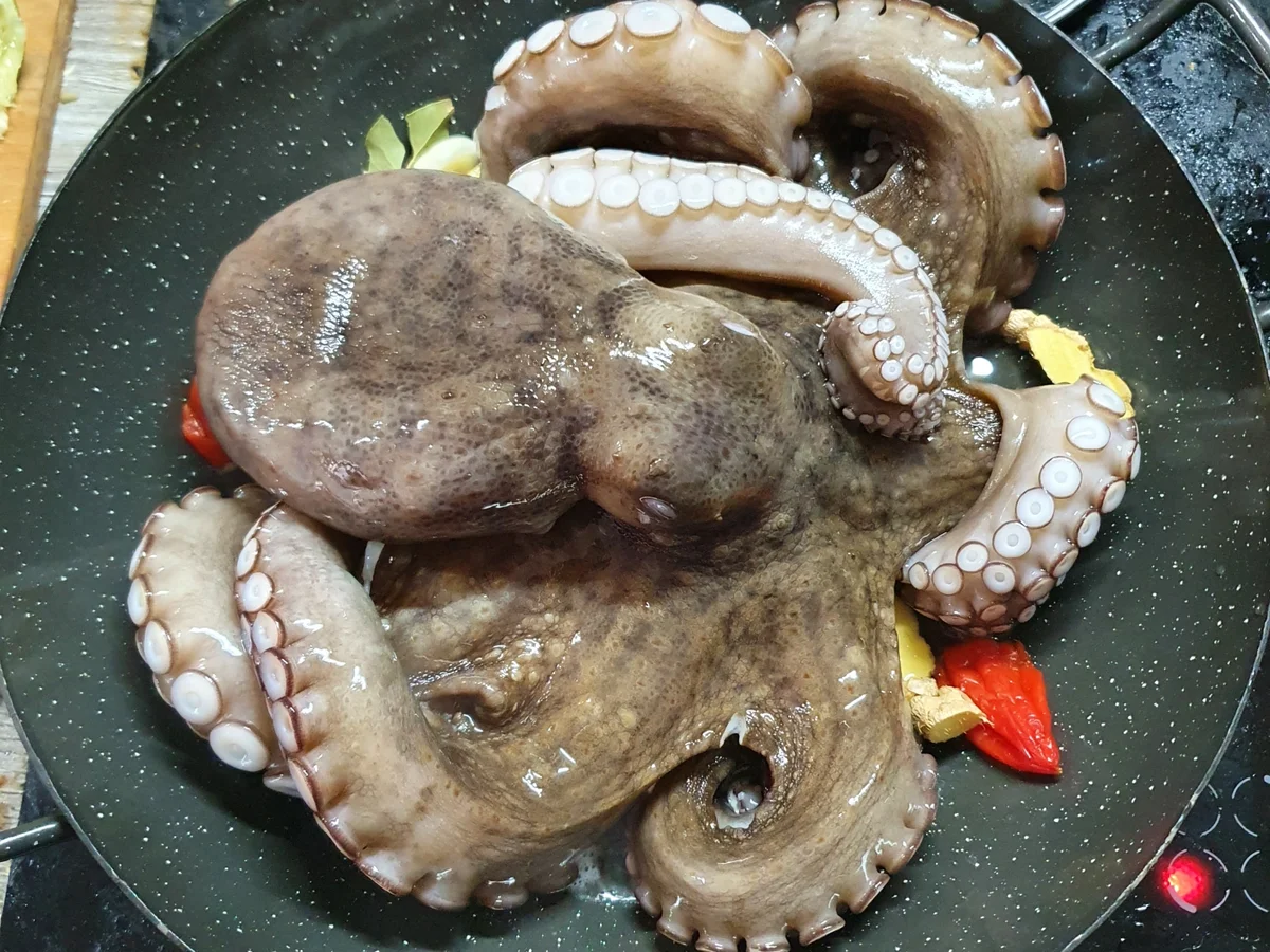 Rezept: Oktopus-Gröstl / Pulpo-Gröstl a la Mälzer Bild Nr. 3 Oktopus-Gröstl / Pulpo-Gröstl a la Mälzer - Rezept - Bild Nr. 3